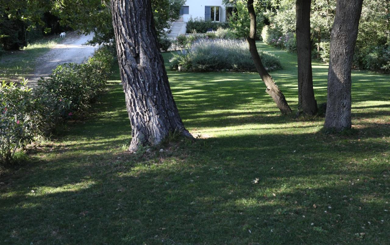 Maison Calme Et Verdure Saint-Cannat Exteriör bild
